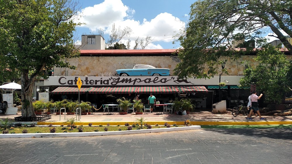 Hotel Boutique Luna Nueva