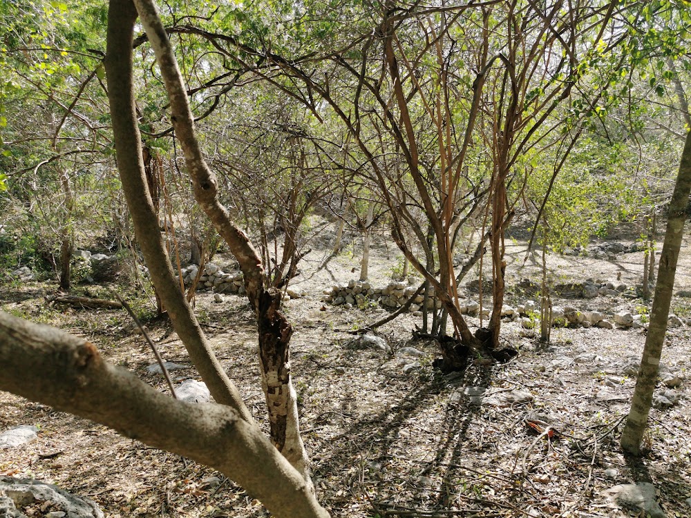 Reserva Arqueológica Kalax