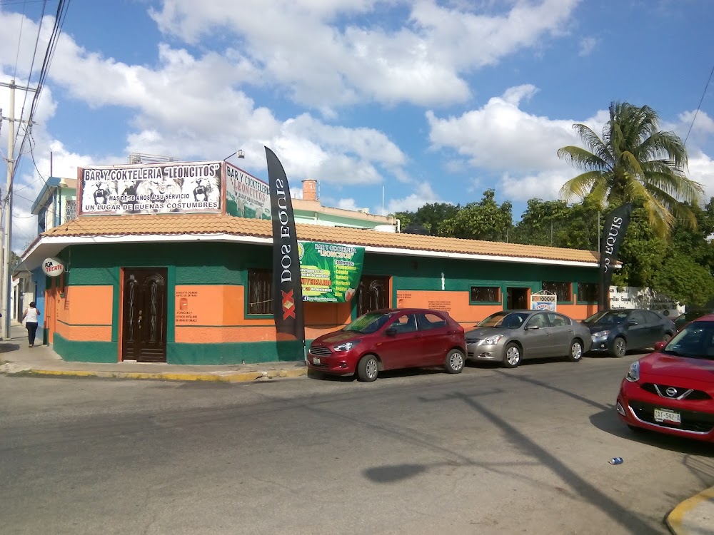 Leoncitos