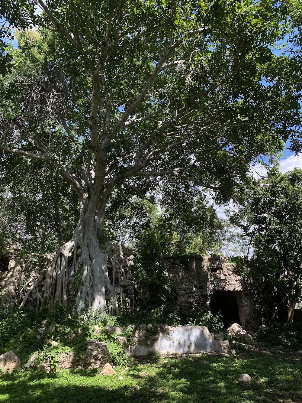 Ruinas Capilla Jardines Del Norte
