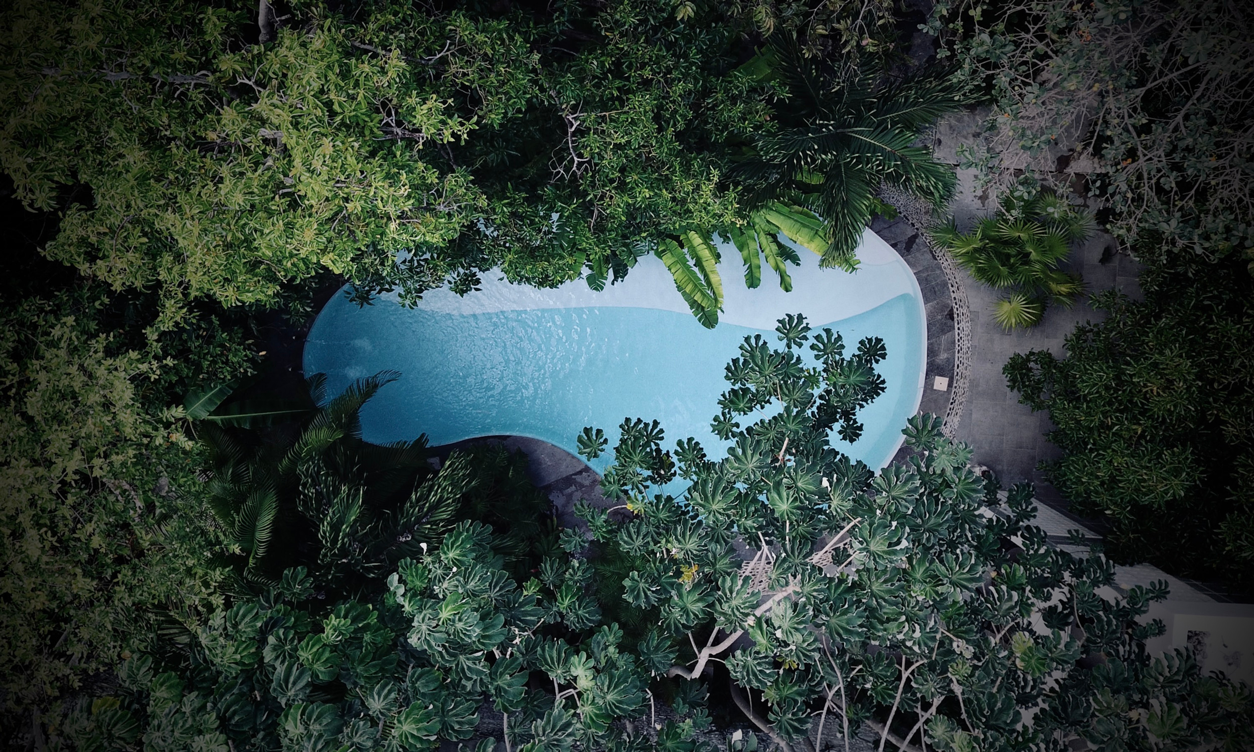 Casa 22 MÉRIDA-YUCATAN