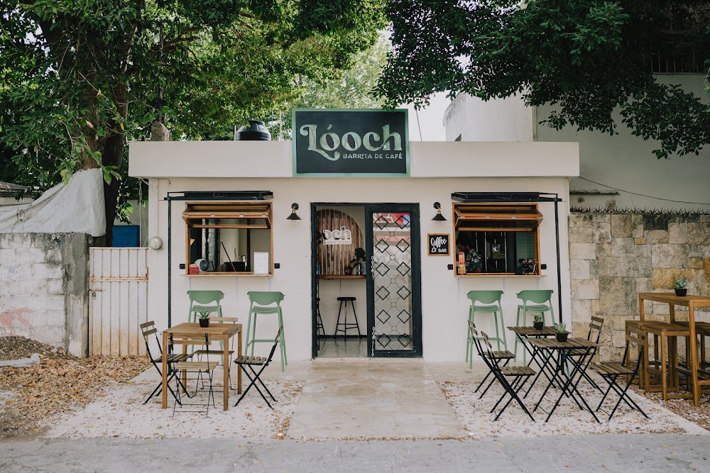 Lóoch Barrita de Café
