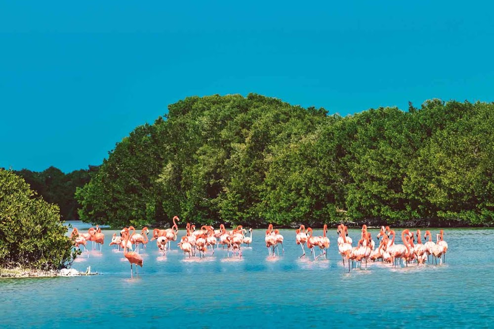 Yucatán Oculto - Tours Express