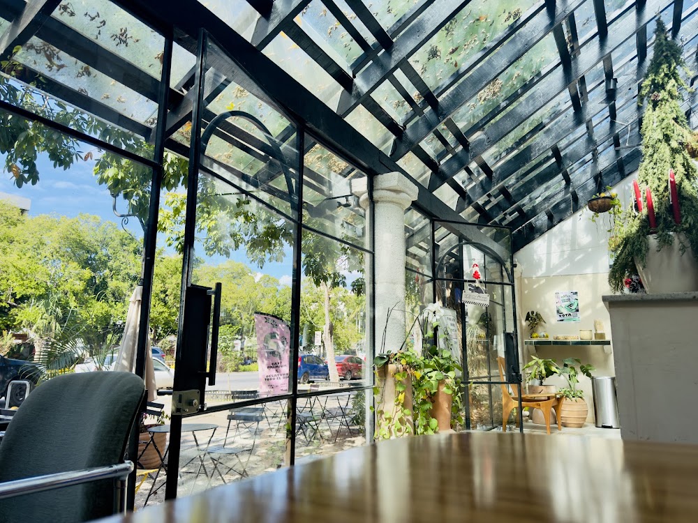 Clandestino Café Mérida Montejo: Specialty Coffee & All-Day Breakfast