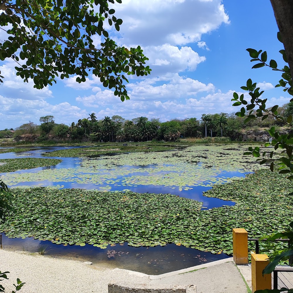 ACUAPARQUE