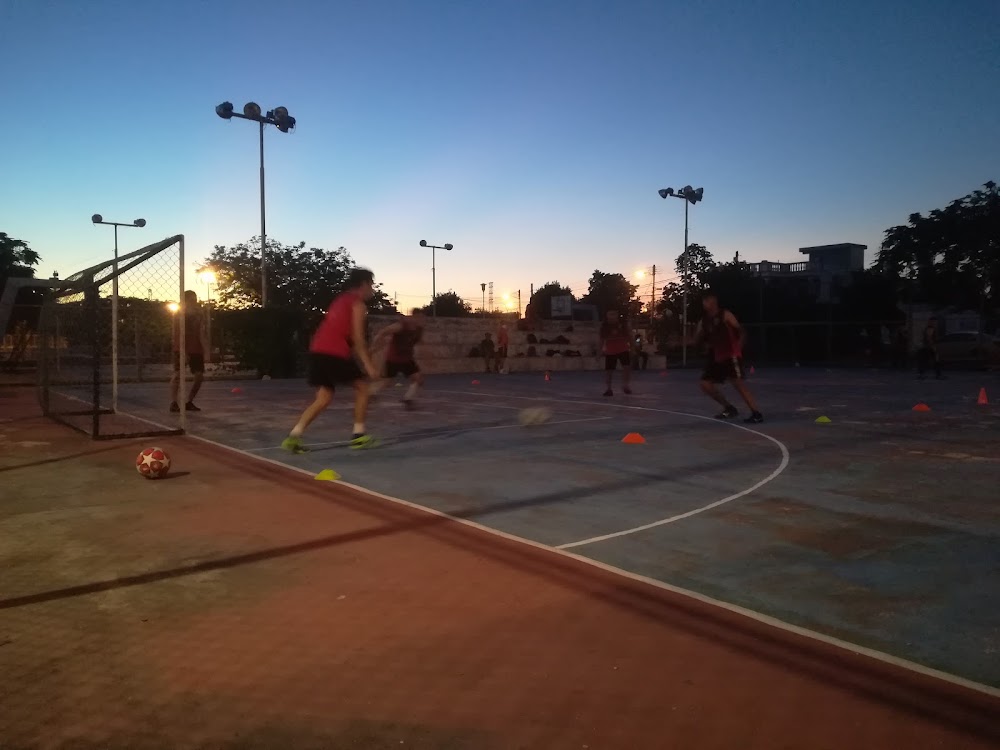 Parque El Pez Volador