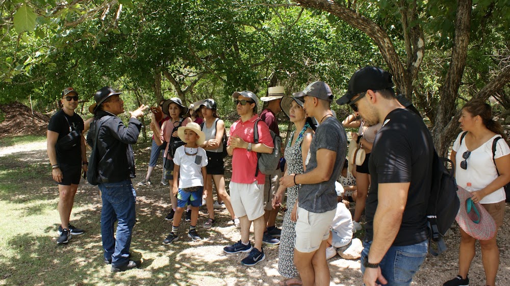 Kuxtal Tours