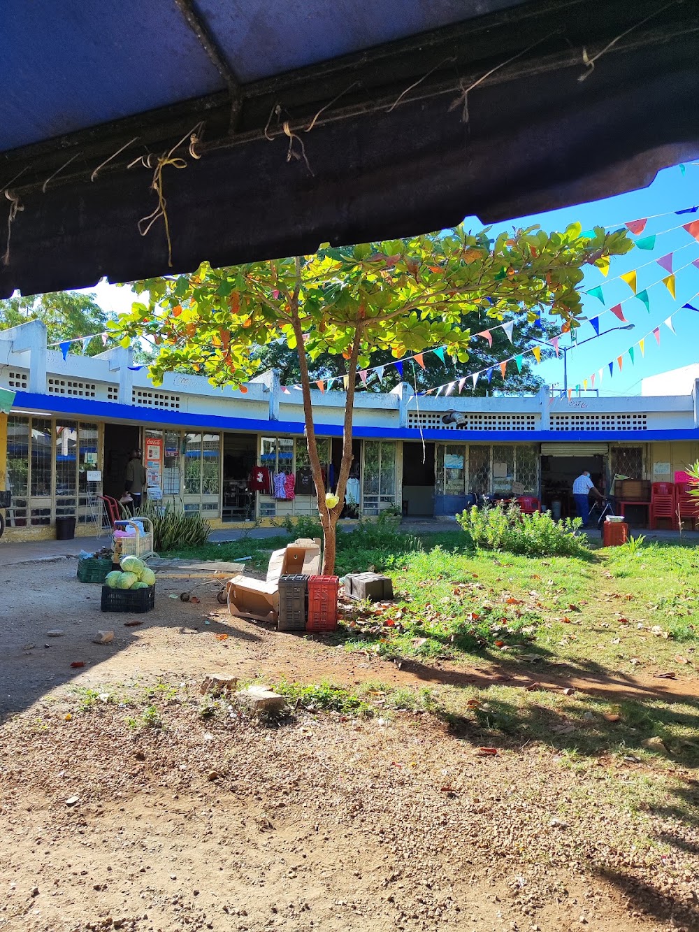 Mercado CORDEMEX
