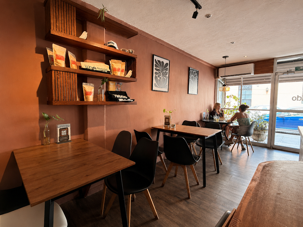 Nítido - Coffee Shop Mérida Centro | Specialty Coffee & All-Day Breakfast