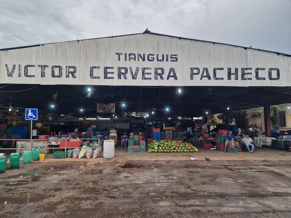 TIangus Víctor Cervera Pacheco