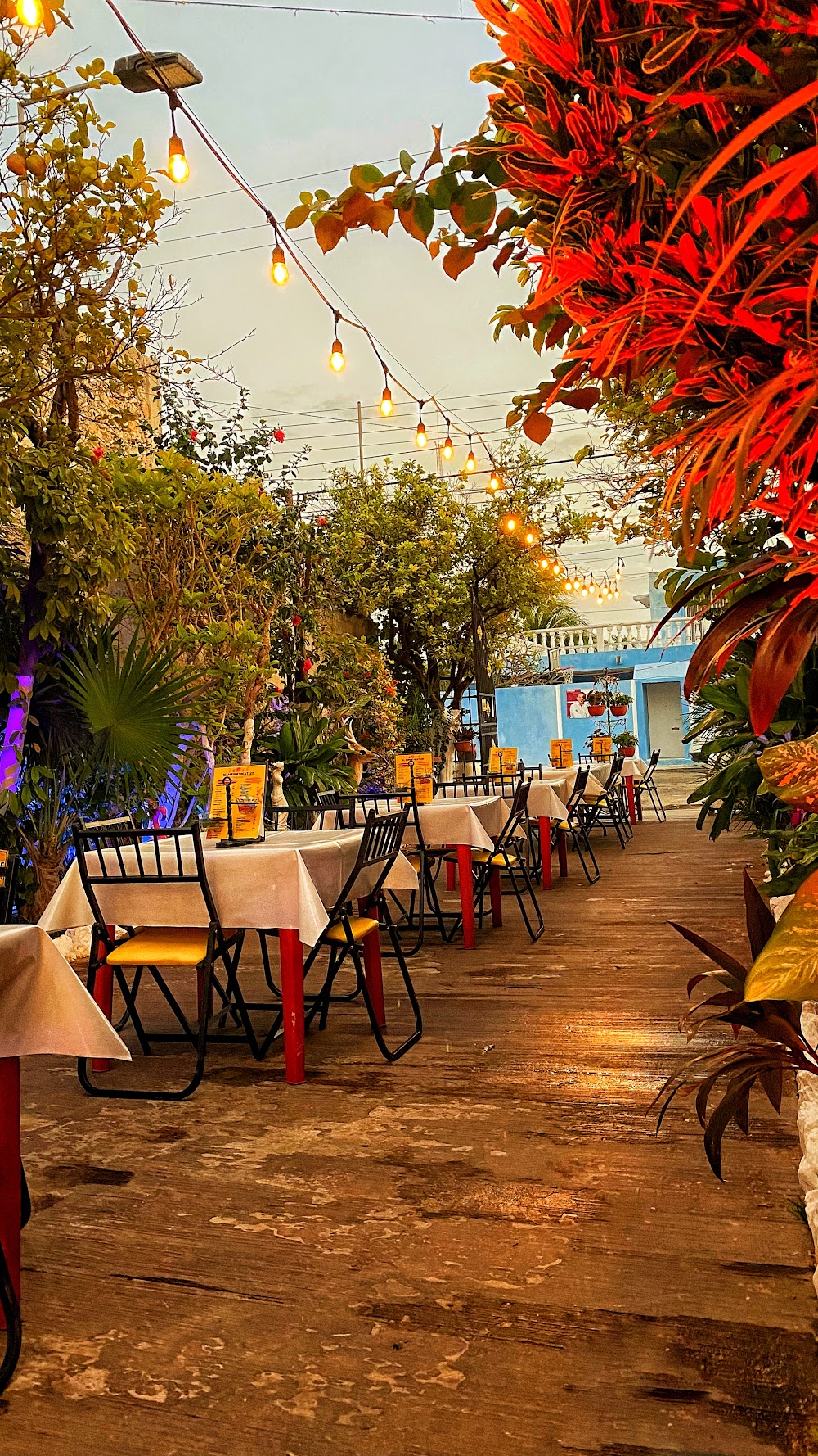 El Jardín Yucateco