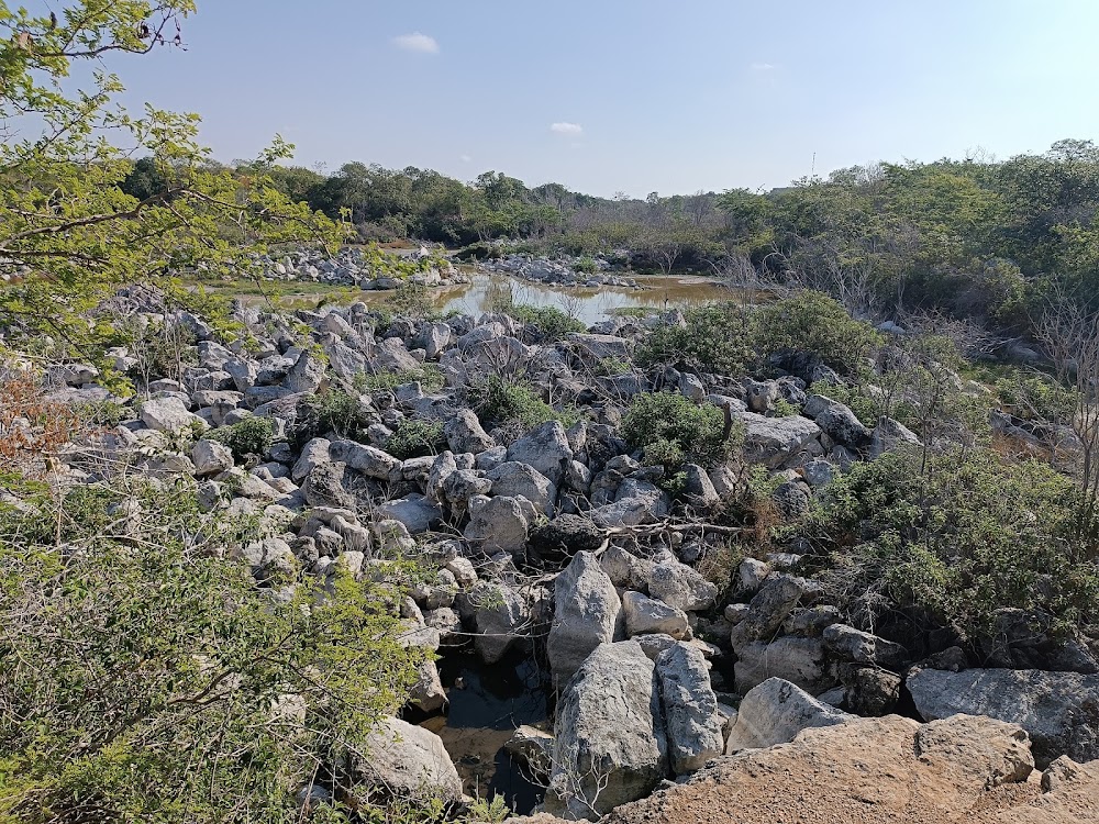 Parque Arqueo-ecológico del Poniente