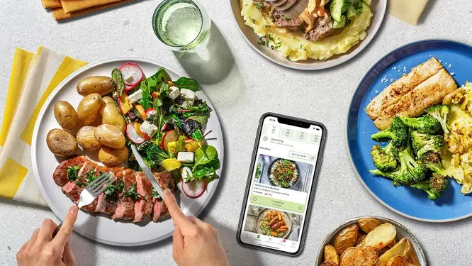 Claim 10 free meals* from HelloFresh