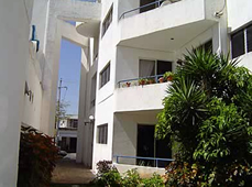 Departamento en renta ubicado en un área céntrica del Paseo Montejo. Cuenta con 2 habitaciones, 1 baño, closets equipados, sala, comedor,