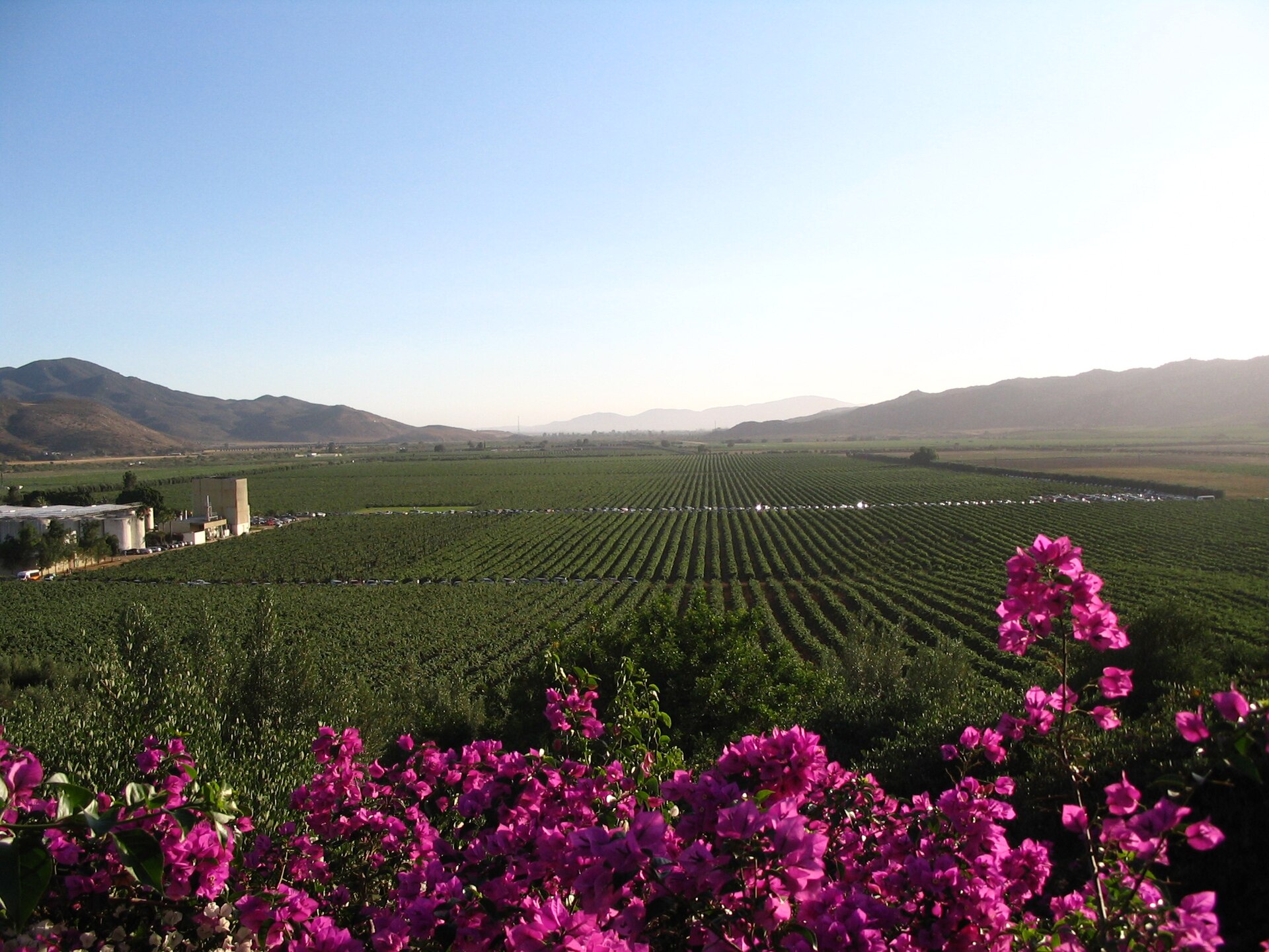 Ensenada & Valle de Guadalupe